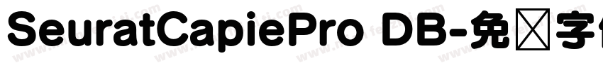 SeuratCapiePro DB字体转换